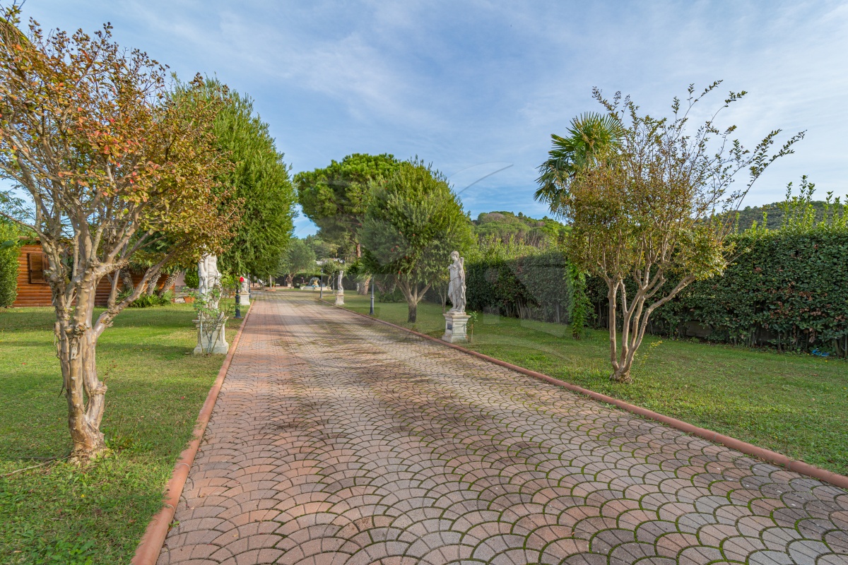 L'Albero del Pepe